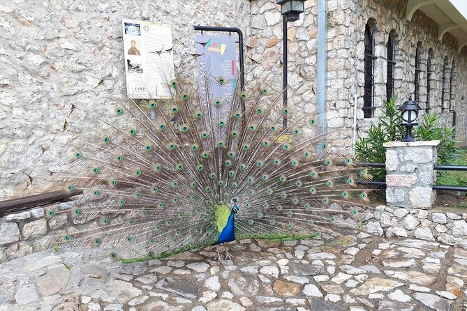 Private Full-Day Historical Day Tour in North Macedonia and Albania - Dorian Disha’s Style, and Why It Matters on a Cross-Border Day