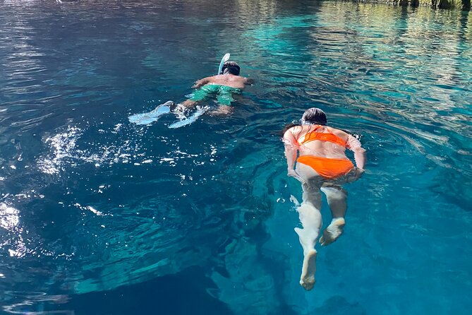 Private Half Day Boat Sazani Island & Haxhi Aliu Cave - Western side of Sazan: cliffs and caves, shorter but more scenic