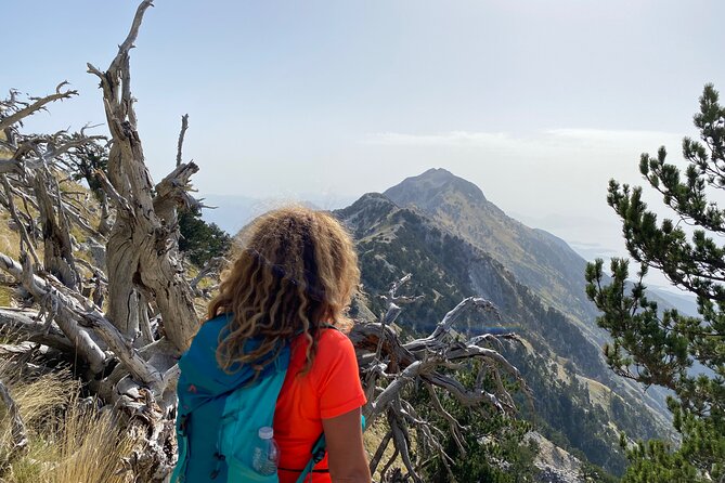 Private Hiking Tour in Çika Mountain - From Tirana pickup to the Vlora Baypass viewpoint