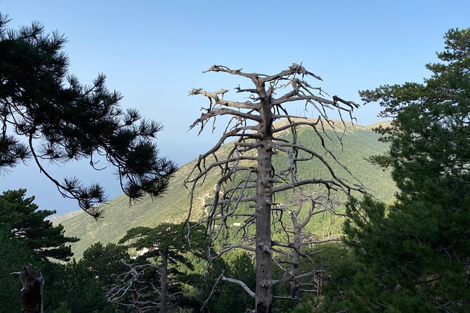 Private Hiking Tour in Çika Mountain - Price, value, and who this private hike fits best