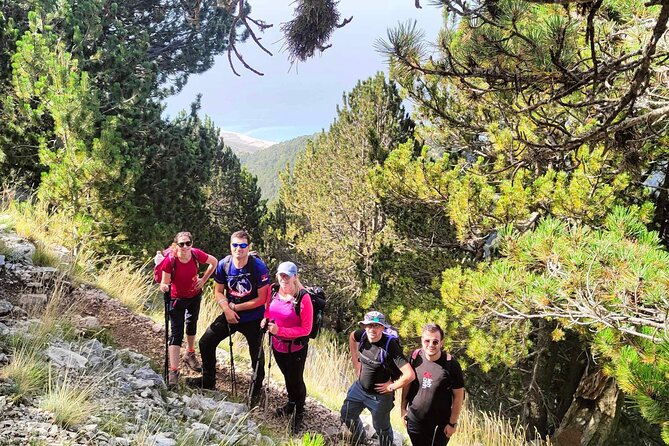 Private Hiking Tour in Çika Mountain - The drive into Llogara National Park, plus a first taste of the trees