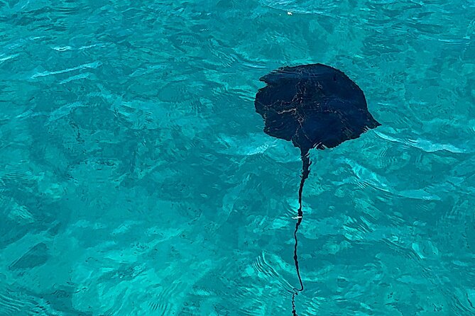 Saranda: Riviera Secrets, Cruise to Krorez and Turquoise Bays - Krorezë Beach: the boat-only payoff with 2 to 3 hours to slow down