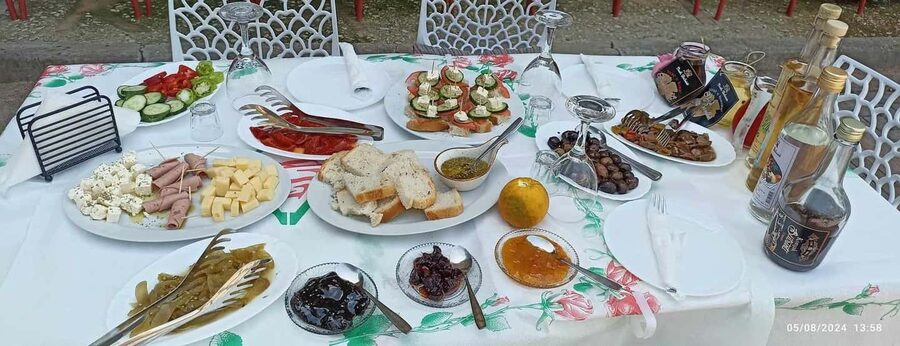 Saranda: Wine and raki tasting, local products. - Olive Oil Factory Learning: How the Production Actually Works