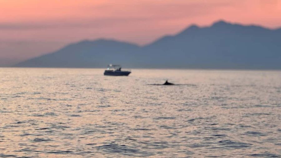 Sarandë Sea Safari: Speedboat to Hidden Coves & Wild Beaches - H2: Kakome/Soldier Bay, More Turquoise, More Time to Soak It In