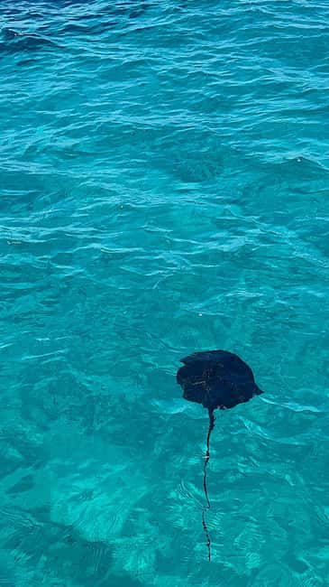Sarandë Seascape: Coves, Cliffs & Caribbean-Blue-Water Bays - Secret Stop Energy, Then Soldiers Bay With Emerald Water