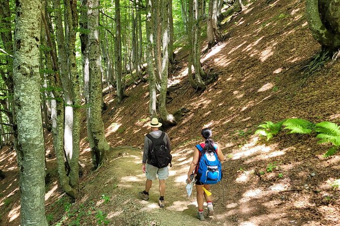 Self-Guided Hiking Tour: Theth, Valbona & Koman Lake in 3 Days - Why Theth, Valbona, and Komani Lake fit together so well