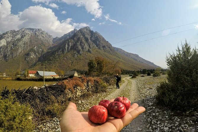 Self-Guided Hiking Tour: Theth, Valbona & Koman Lake in 5 days - Day 5: Komani Lake boat ride, then back via Vau i Dejes and Shkodra