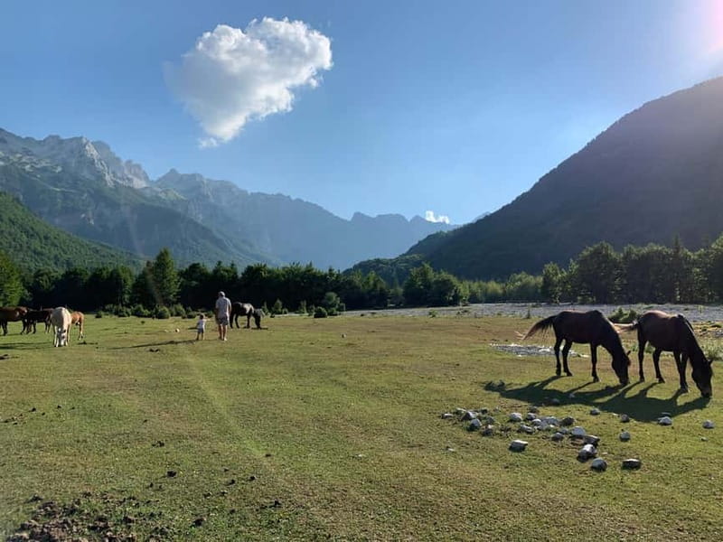 Shkoder: Transfers to Valbona/Theth/Shala River. Both ways. - Lugina e Komanit Hotel stop: coffee or breakfast before the water