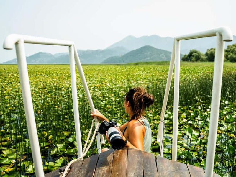 Skadar Lake & Crnojevića River: Swimming, Snacks & Wine - Finding Kingfisher in Virpazar, and why timing helps