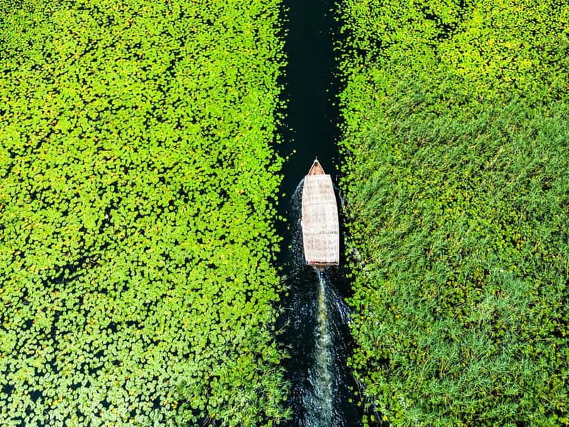 Skadar Lake National Park: Private Wooden Boat Tour & Wine - What makes this Skadar Lake boat tour worth it