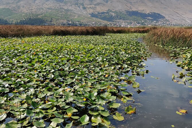 Stand Up Paddle Board or Kayak Rental in Shkodër - Your time on the water: routes, breaks, and what you’ll likely spot