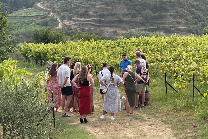 Taste Albania: Wine & Raki Tasting in Berat - Berat hills at 5:30 pm: what the start feels like