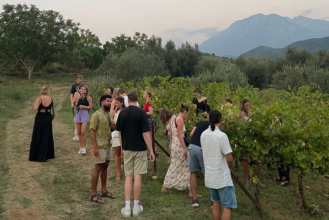 Taste Albania: Wine & Raki Tasting in Berat - Price and value: is 45.95 worth it?