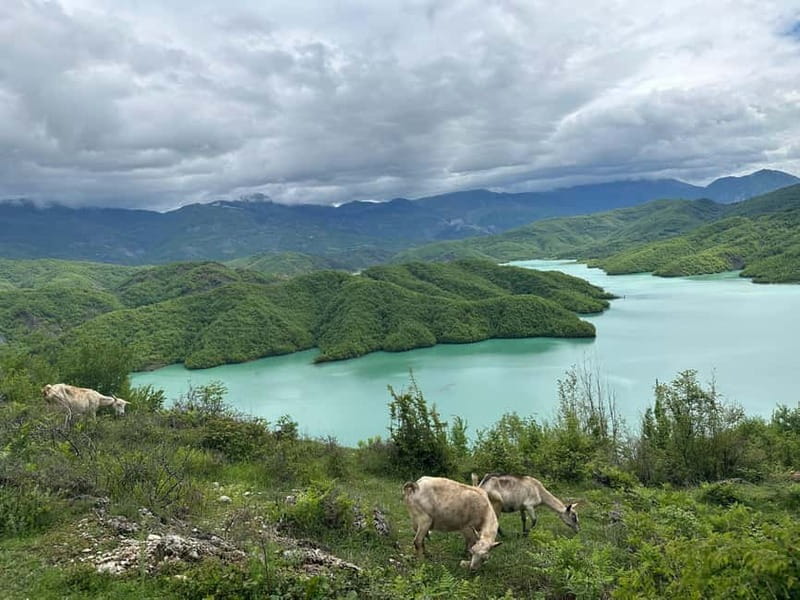 Tirana: Bovilla Lake & Gamti Mountain with SUV, No-Hiking - Who this tour suits best (and who should skip it)