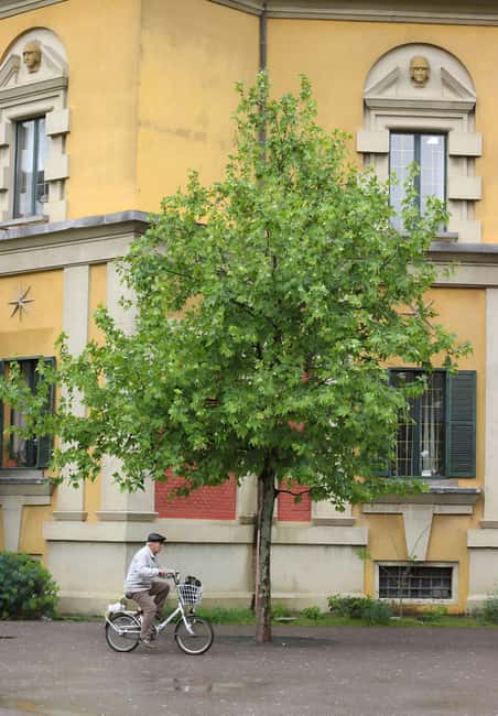 Tirana:Communist History & Modern City Tour with Local Guide - Coffee break tips you can actually use that day