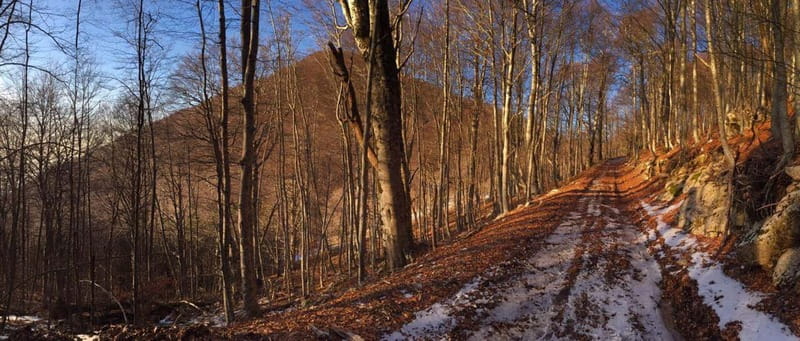 Tirana: Dajti Mountain Half-Day Trip with Cable Car Ticket - From Tirana to Dajti, the value of a simple half-day escape