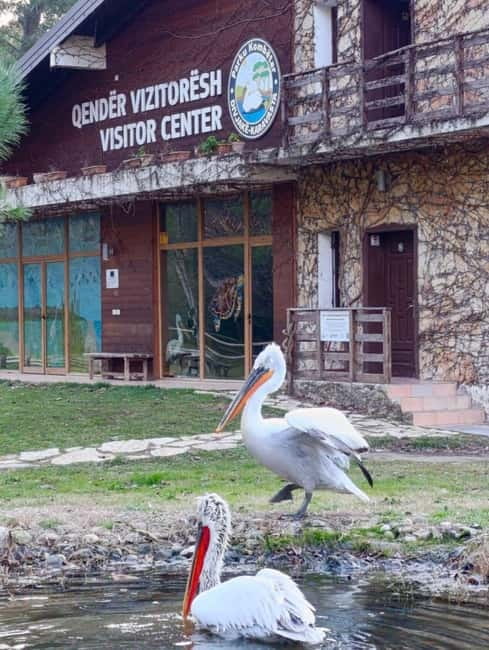 Tirana / Durrës: Berat UNESCO City & Karavasta National Park - How much walking you should expect (and how to handle it)