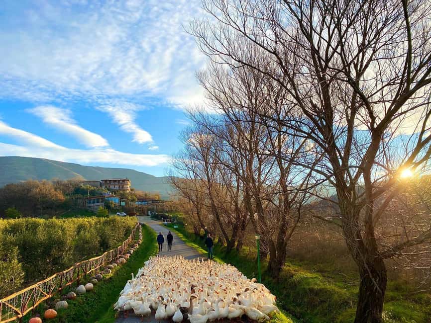 Tirana: Kruja Day Trip with Farm-to-Table Lunch - Getting From Tirana to Krujë Without Losing the Day