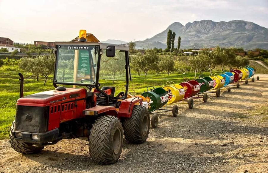 Tirana: Kruja Day Trip with Farm-to-Table Lunch - Who This Tour Suits Best