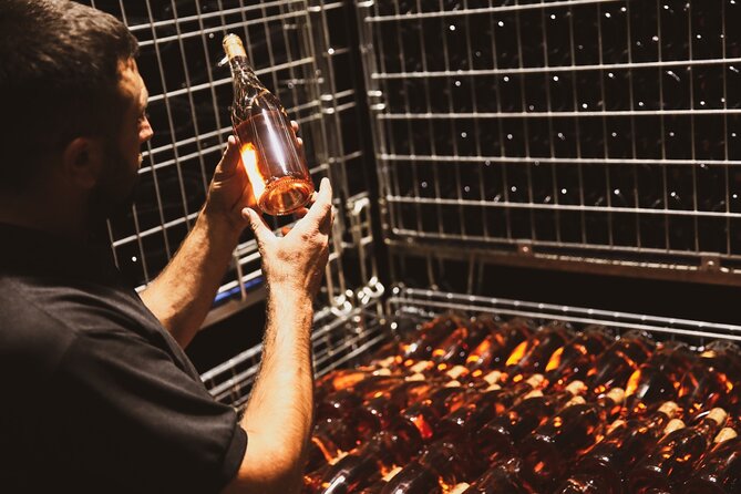 Tirana Lundra Winery Guided Tour with Wine Tasting - Key highlights worth your time