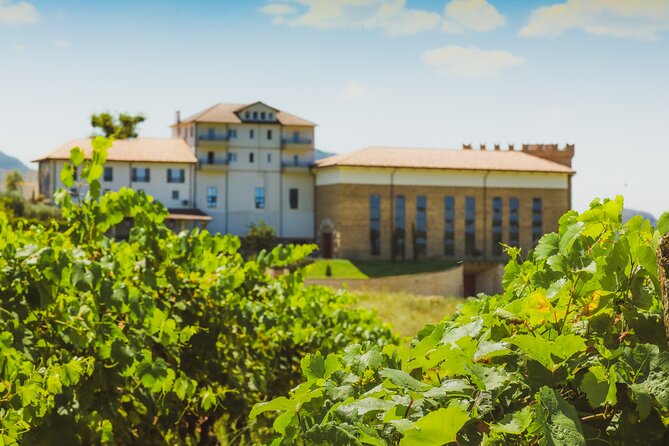 Tirana Lundra Winery Guided Tour with Wine Tasting - Meeting at Kantina Lundra: Timing, group size, and how to show up