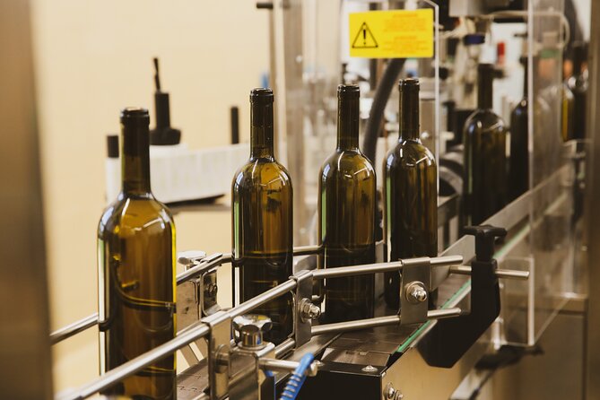 Tirana Lundra Winery Guided Tour with Wine Tasting - Wine tasting setup: 2 whites, 2 reds, and a taste of raki