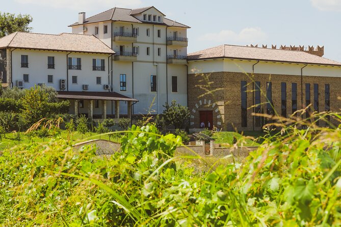 Tirana Lundra Winery Guided Tour with Wine Tasting - Snacks and pacing: how a short tour stays enjoyable