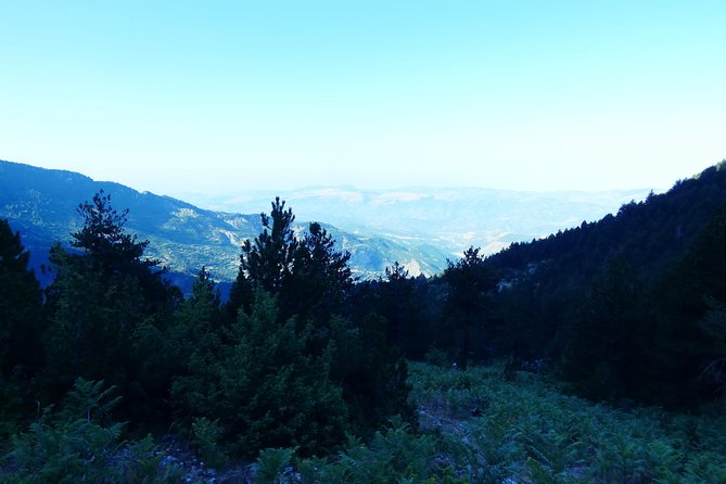 TOMOR MOUNTAIN HIKING from Berat by 1001 Albanian Adventures - Small Details That Make the Tour Feel Organized