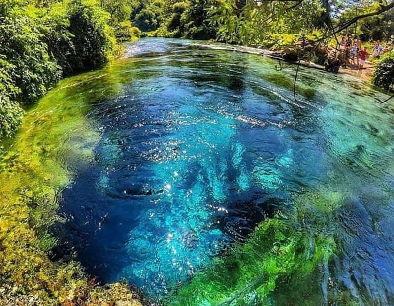 Tour and guide Blue Eye- Gjirokaster - Blue Eye Park: Clear Water and a 50-Meter-Deep View