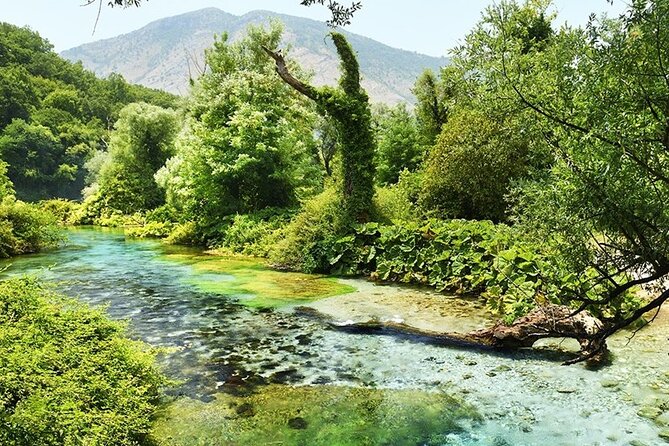 Tour to Butrint Antic City/Blue Eye Spring/Lekursi Castle - Pickup and private comfort between stops