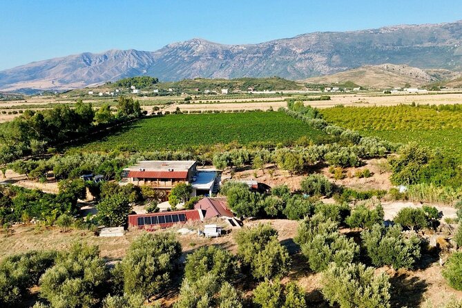 Traditional Albanian Food and Wine Tasting - Key highlights you will feel right away