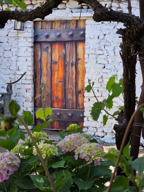 Traditional Food Tour,Dinner in a Local Garden(Eat as local) - Who should book this Albanian garden dinner, and who might skip it