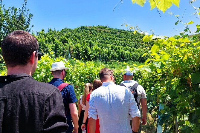 Vineyards, Albanian Wine Tasting & Boat Tour from Tirana/Durres - Key highlights you should care about