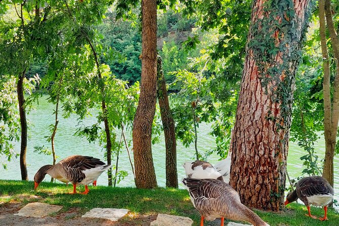 Vineyards, Albanian Wine Tasting & Boat Tour from Tirana/Durres - Price and value: is $95.34 a good deal?