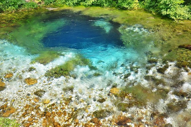Visit The National Park of Blue Eye & Lekuresi castel - Syri i Kaltër Blue Eye: palms, springs, and a pool that resists answers