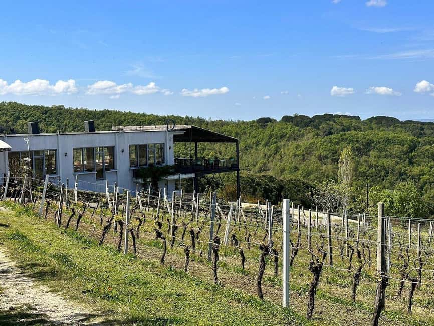 Vlora: Zvernec, Ardenica, Local Winery & Food Experience - Stop 2: Ardenica Monastery hilltop views, frescoes, and the wooden iconostasis