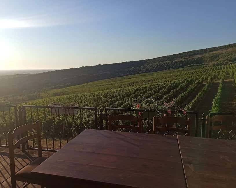 Vlora: Zvernec, Ardenica, Local Winery & Food Experience - Stop 3: A family winery tasting in Vlora countryside, with real food pairings