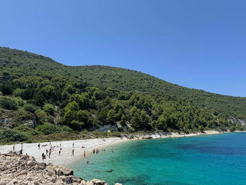 Vlore: Sazan Island, Haxhi Ali Cave & Karaburun by Speedboat - Starting at Vlorë Port: What the Morning Feels Like