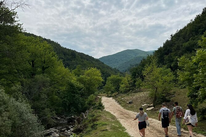 Waterfalls and wine flows - Bogova waterfall and Alpeta Winery Winetasting tour - Price and Value: What You Get for $104.72