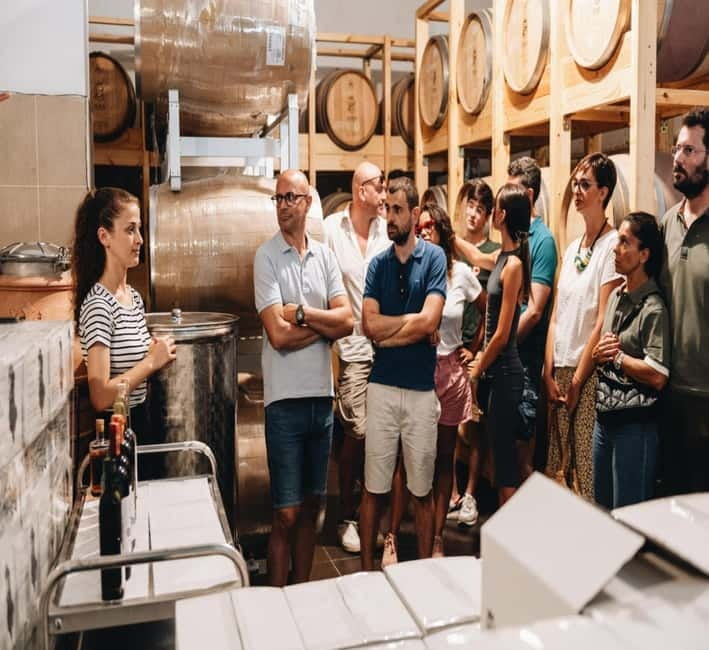 Wine tasting tour, Optional wine yard tour and kayak rides - Key Things To Know Before You Go