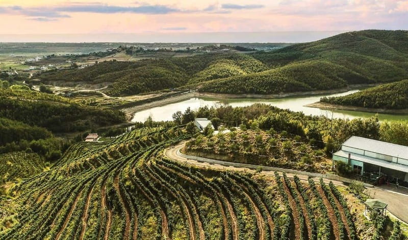 Wine tasting tour, Optional wine yard tour and kayak rides - Why A Durres Wine Tasting Feels Like More Than Wine