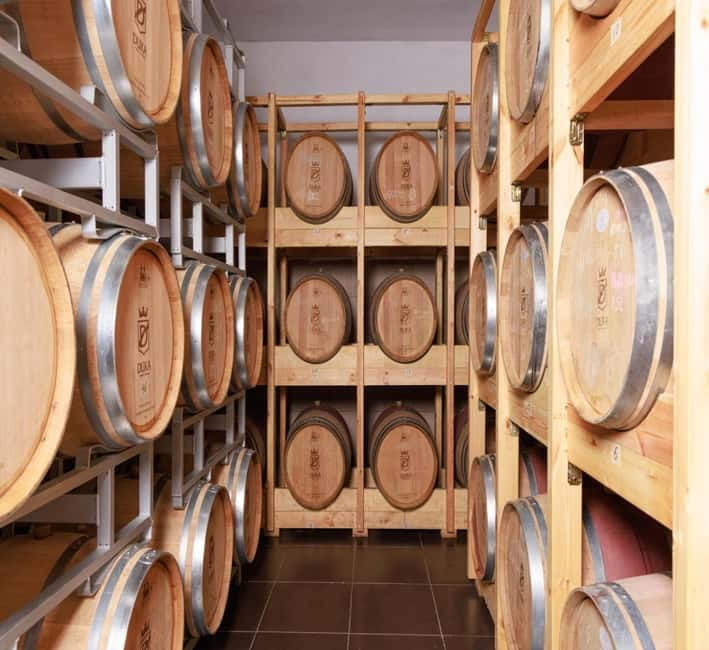 Wine tasting tour, Optional wine yard tour and kayak rides - Vineyard Walk With Albanian Winemaking Traditions