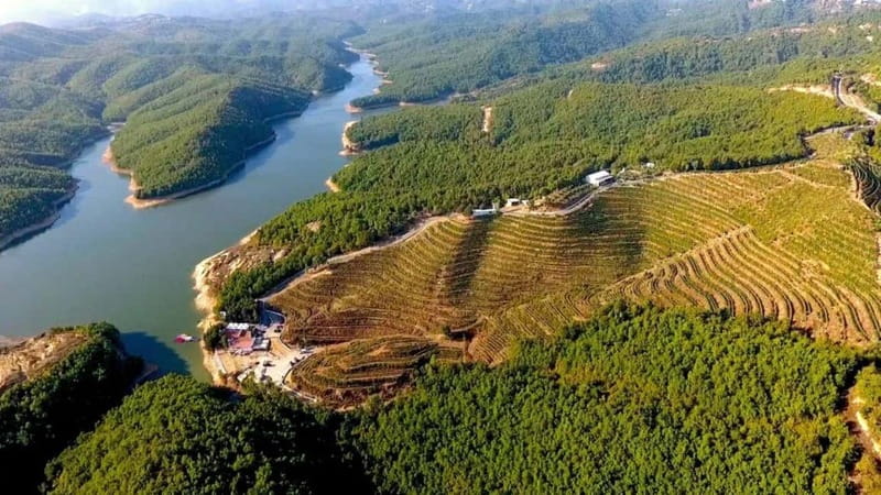 Wine tasting tour, Optional wine yard tour and kayak rides - Who This Tour Suits Best (And Who Should Skip It)
