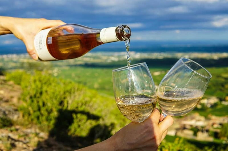 Wine Tasting & Vineyards Escape near Tirana - Stop 2: Tirana County winery visit, vineyard walk, and the native grape lesson