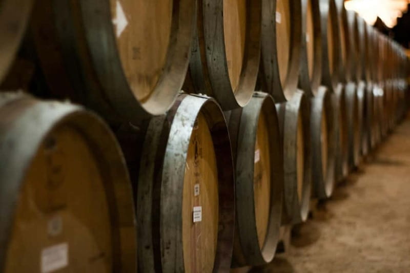 Wine Tasting & Vineyards Escape near Tirana - The tasting room: 3 wines, paired snacks, and how to get more out of each glass