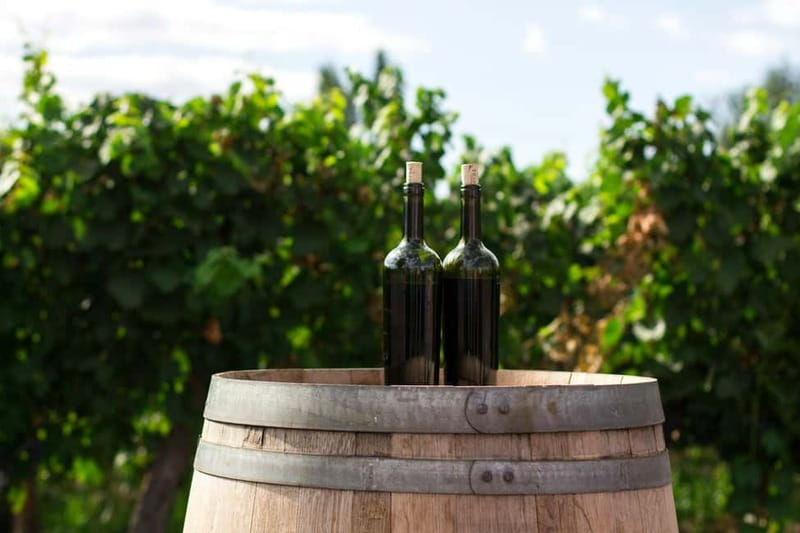 Wine Tasting & Vineyards Escape near Tirana - Price and value at $118.58: what you are paying for, not just what it costs