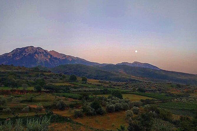 Winetasting tour in Alpeta winery - Roshnik village by 1001 Albanian Adventures - Timing and group size: what a 3 to 6 hour day feels like